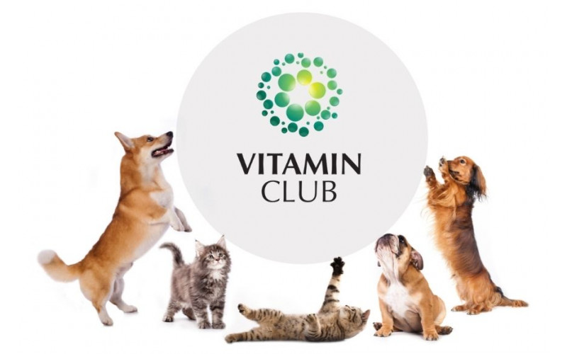 Благотворительная акция "Сытый хвост: 5% на добро!" - фото на Vitaminclub